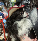 Brown Pet Cowboy Hat