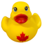 Canada Rubber Duck