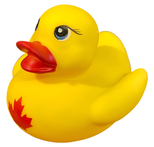 Canada Rubber Duck