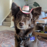 Brown Pet Cowboy Hat