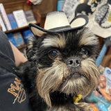 Brown Pet Cowboy Hat