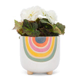 Rainbow Planter