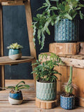 Plume Azure Planter