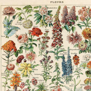 Flower Garden Vintage Botanical Print - 11"x14"