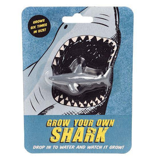 Grow Your Own Shark