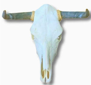 Real Cattle Steer Skull Life Size Natural Bone Wall Accent