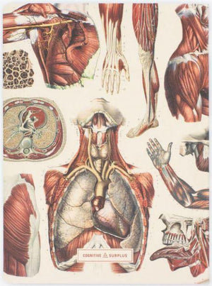 Muscle Anatomy Softcover Notebook