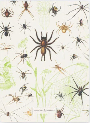 Spiders Softcover Journal