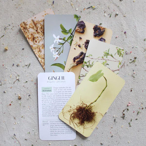 The Botanicals Deck: 70 Plants and Flowers to Enhance Your Life