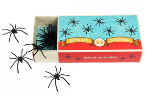 Box of 20 spiders - Classic Jokes