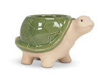 Turtle Planter