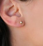 Star Burst Stud Earrings