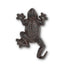 Climbing Frog Hook