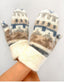 Icelandic Ivory Wool Mittens