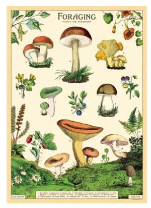 Foraging - Poster