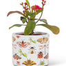 Allover Bugs Planter