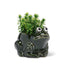 Green Frog Planter