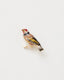 Enamel Goldfinch Brooch