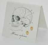 Golden Skull Stud Earrings