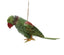 Green Parrot Ornament