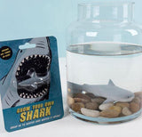 Grow Your Own Shark