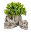 Skull Cement Planter