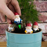 Mini Plant Pot Gnomes