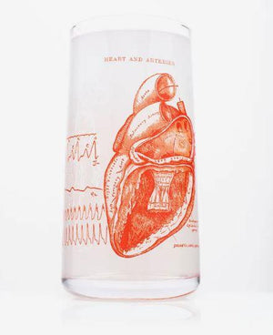 Anatomical Heart Glass