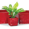 Red Square Planter