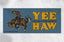 Yee and I Cannot Stress This Enough Haw Bumper Sticker