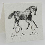 Sterling Silver Horseshoe Studs