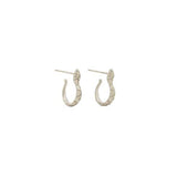 Silver Serpent Hoop Earrings