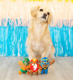 Taste of Glory Pet Toys