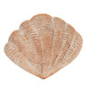 Orange Sea Shell Decor