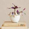 Hand-Painted Birds Planter