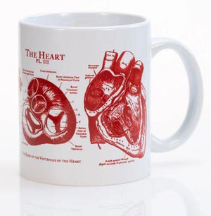 Anatomical Heart Mug Red and White 11oz