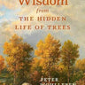 Wisdom From The Hidden Life of Trees