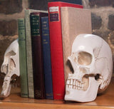 Skull Bookends