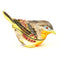 Colorful Sparrow Trinket Box