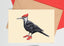 Shoes Woodpecker Greeting Card