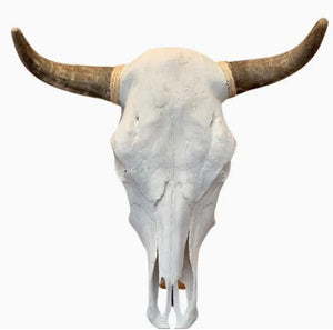 Real Cattle Steer Skull Life Size Natural Bone Wall Accent