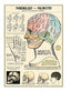 Phrenology & Palmistry Poster