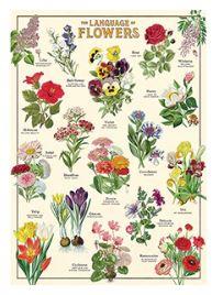 Language of Flowers Vintage Poster