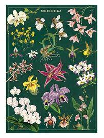 Orchid Vintage Poster