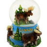 Canada Moose Snowglobe