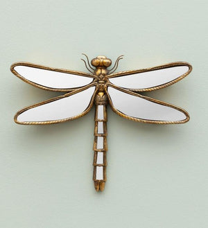 Dragonfly Mirror