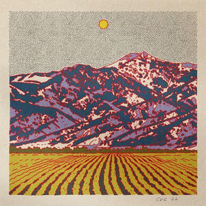 Desert Mountain Fields Print