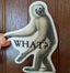 What? Monkey Sticker