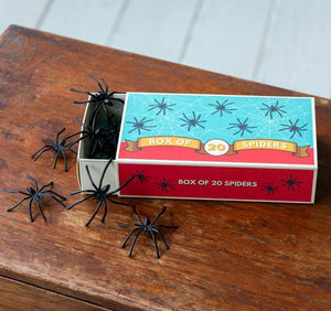 Box of 20 spiders - Classic Jokes