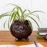 Owl Planter